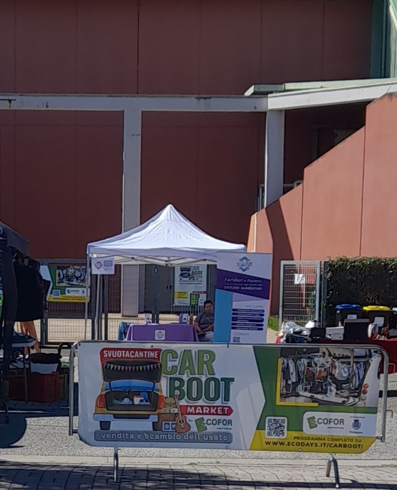 CarBoot – Pontedera (11)