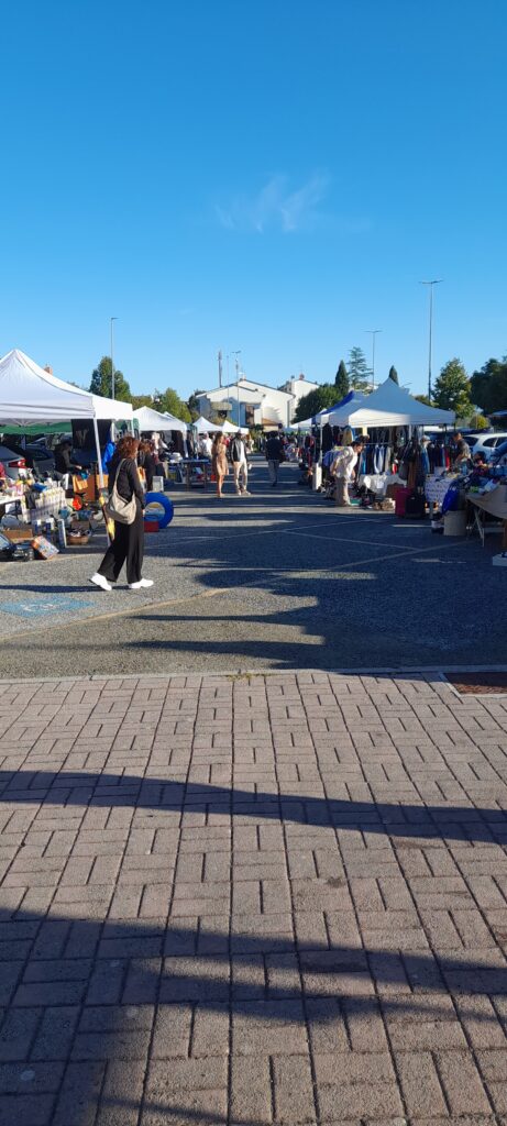 CarBoot – Pontedera (5)